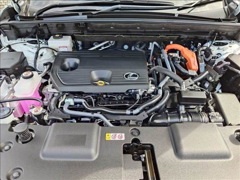 NX
