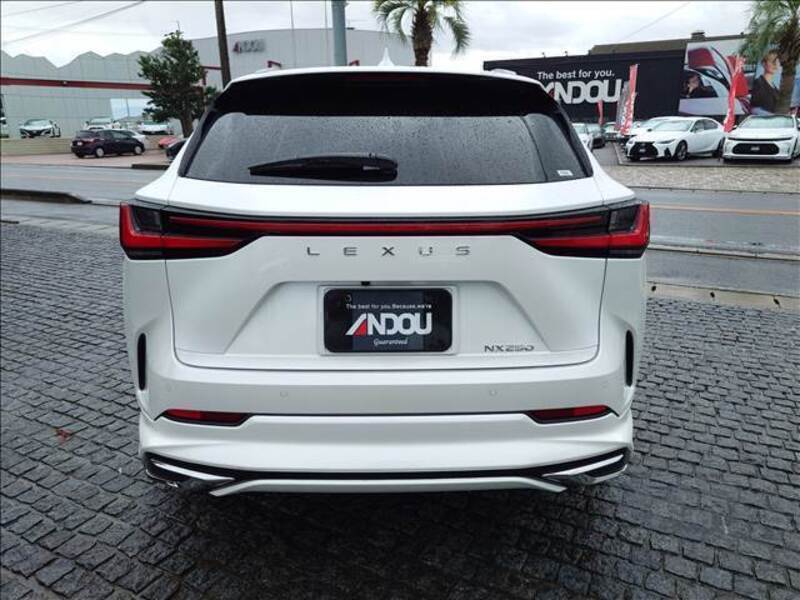 NX