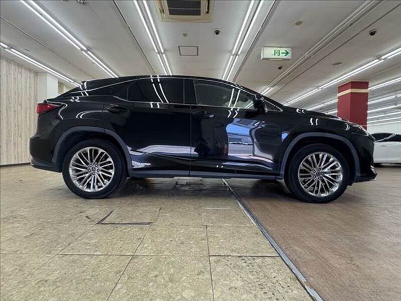 RX