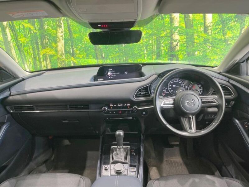 CX-30