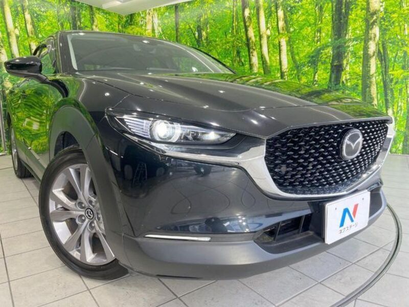 CX-30