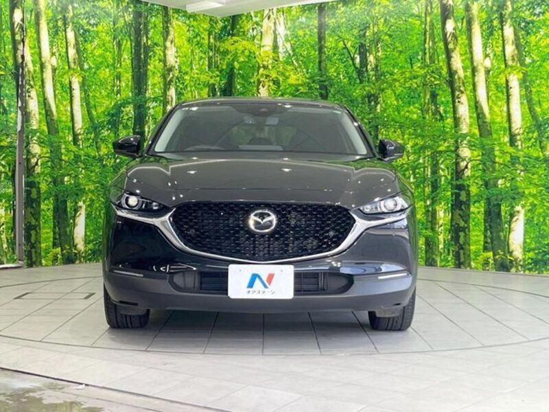 CX-30
