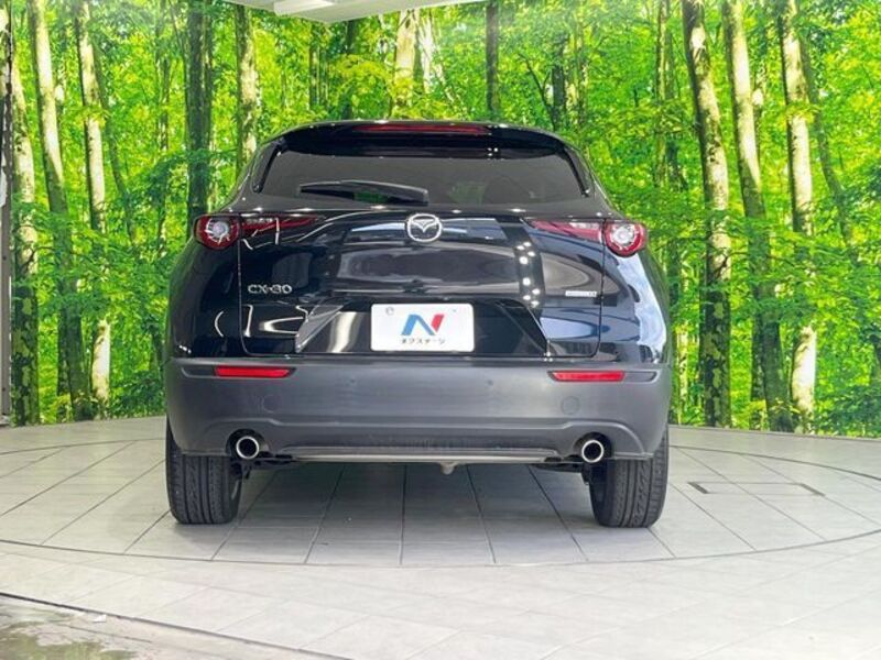 CX-30