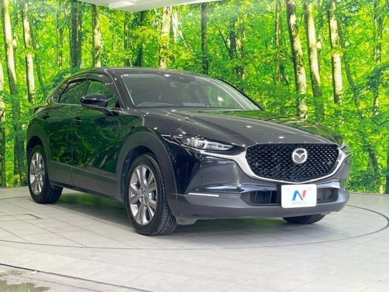 CX-30