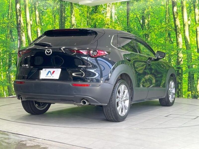 CX-30