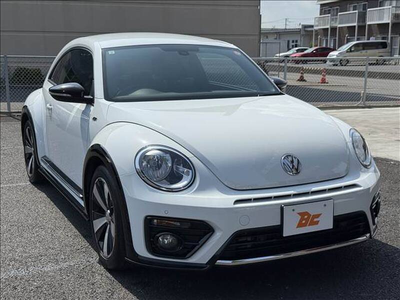 THE BEETLE