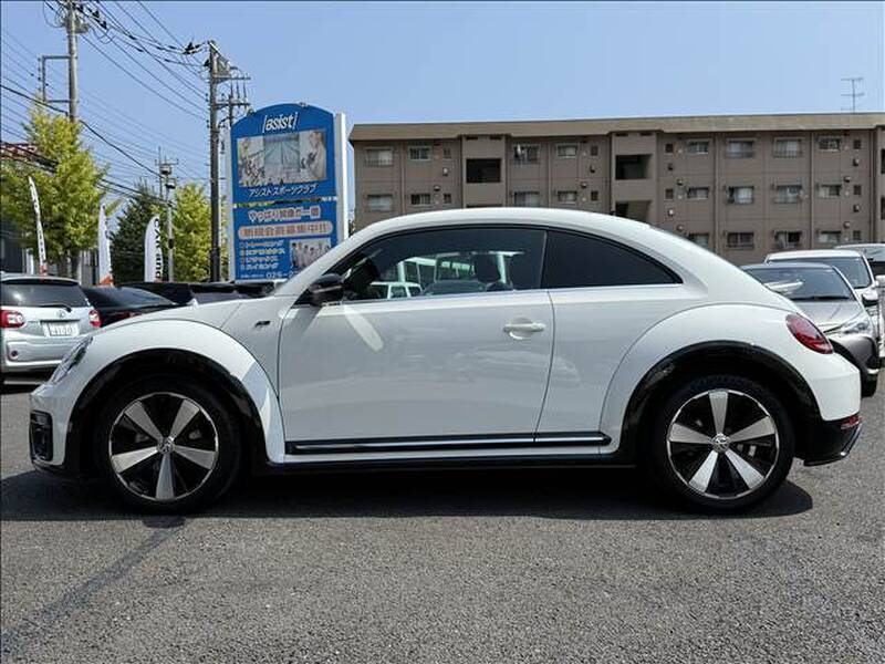 THE BEETLE