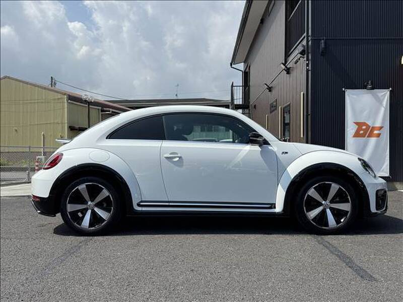THE BEETLE