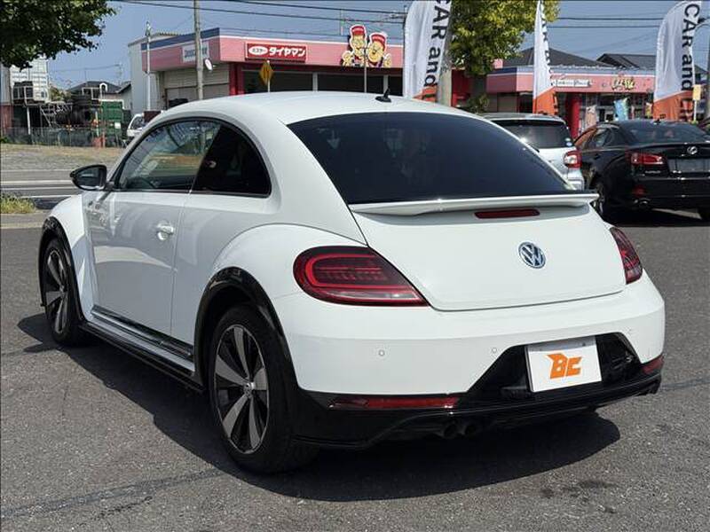THE BEETLE