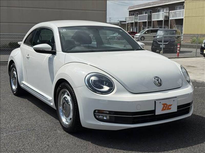 THE BEETLE