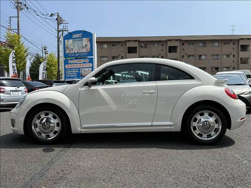 THE BEETLE
