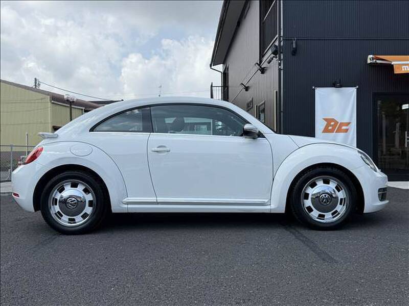 THE BEETLE