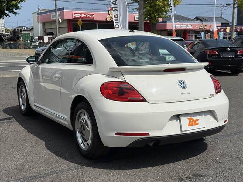 THE BEETLE