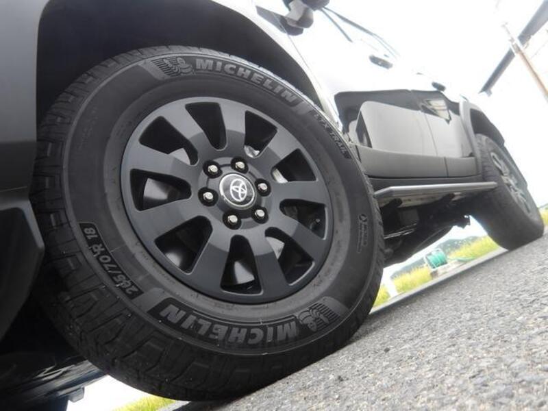 LAND CRUISER 250