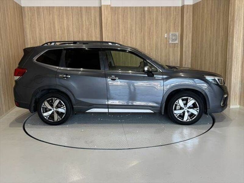 FORESTER