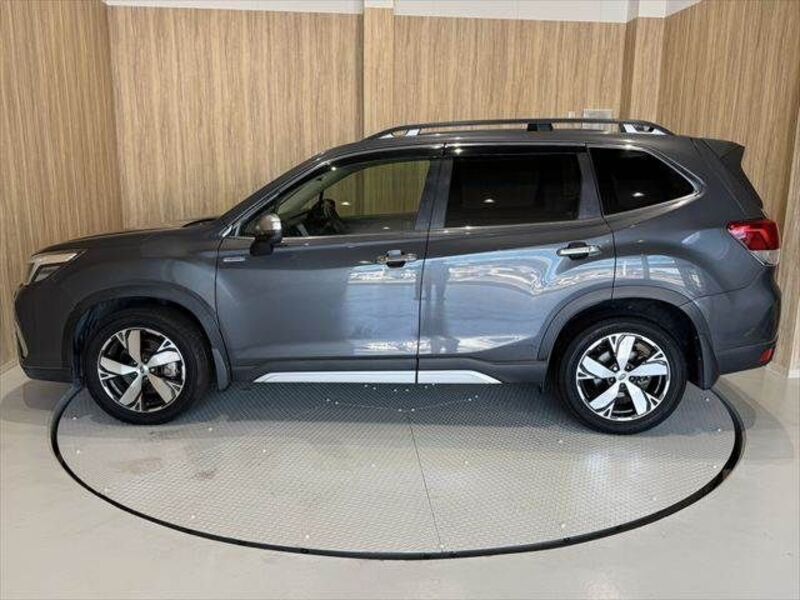 FORESTER