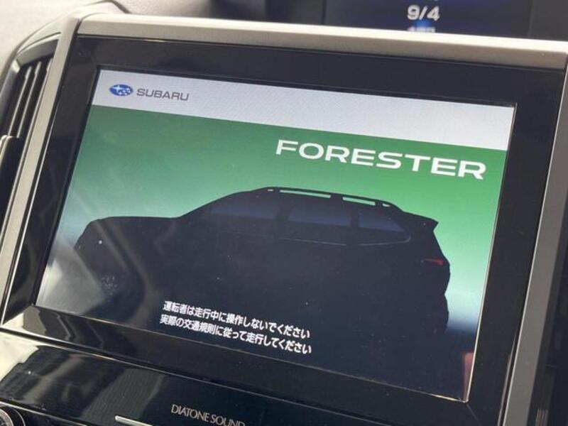 FORESTER