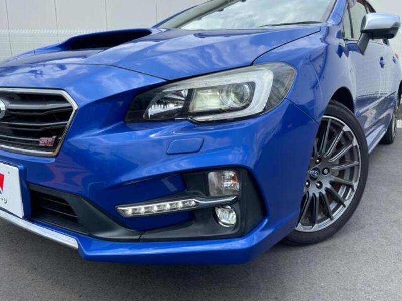 LEVORG