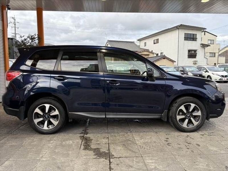FORESTER