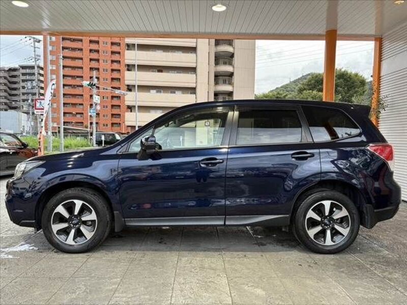 FORESTER