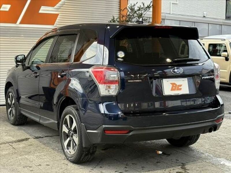 FORESTER