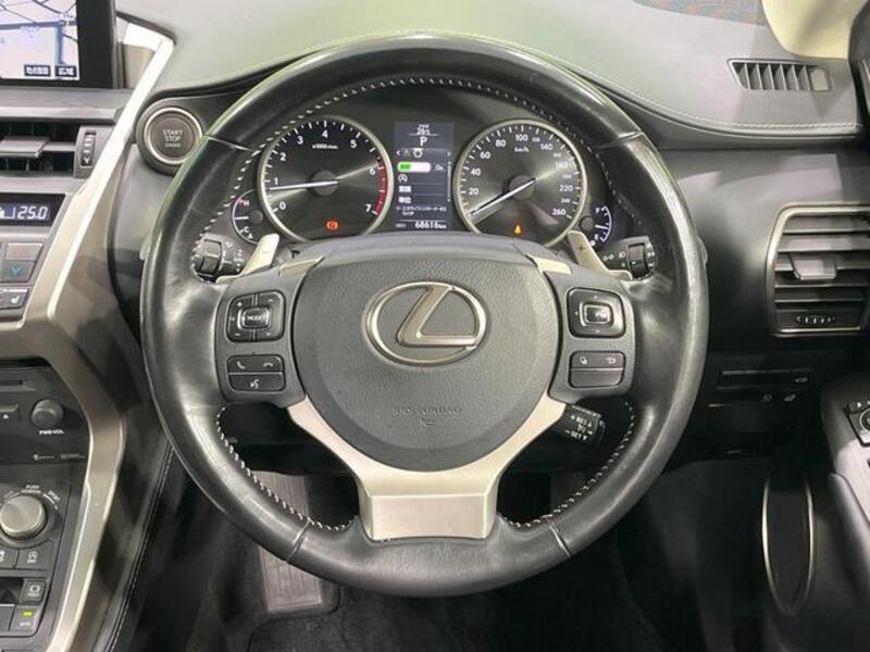 NX