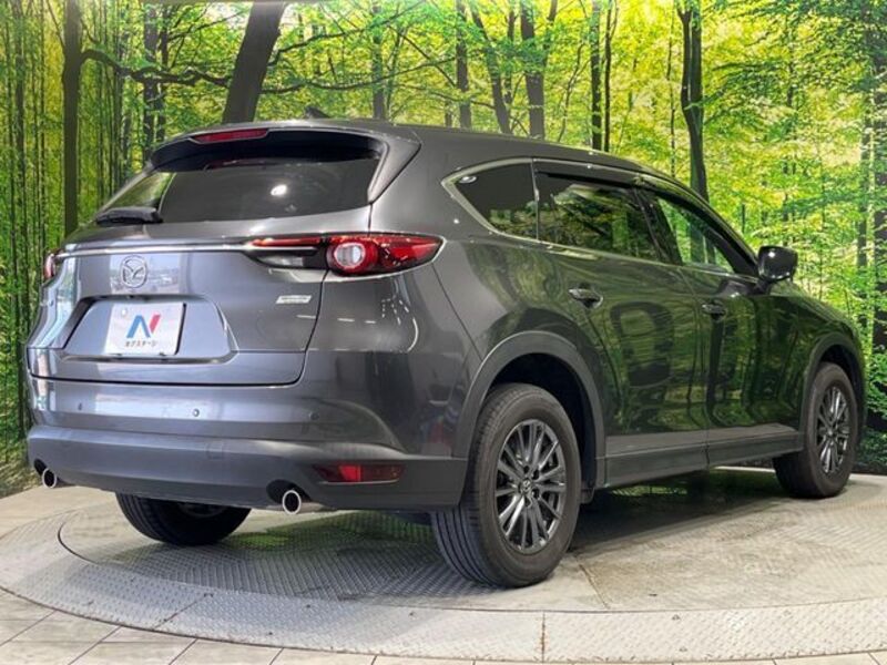 CX-8