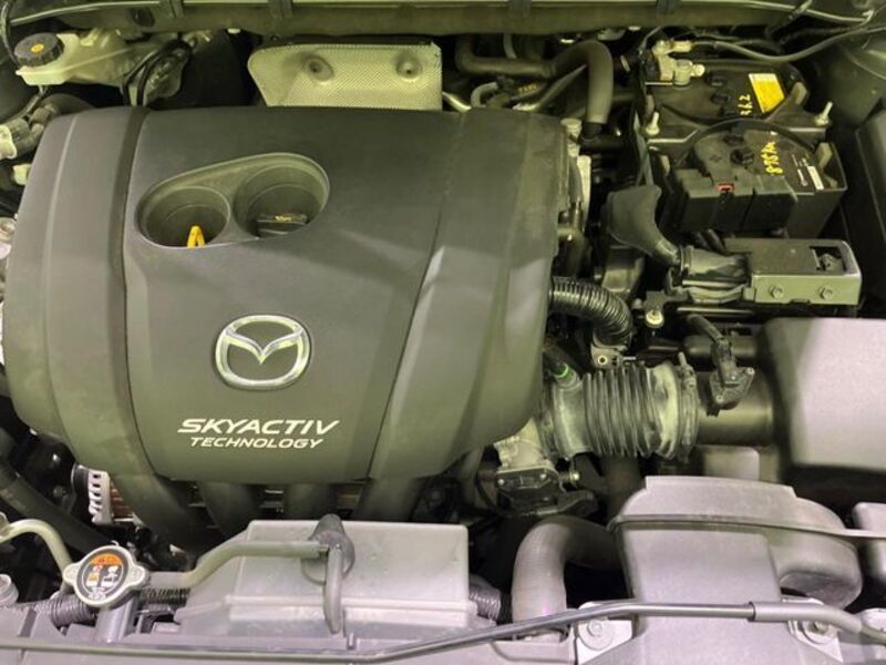 CX-8