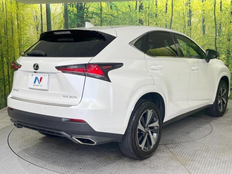 NX