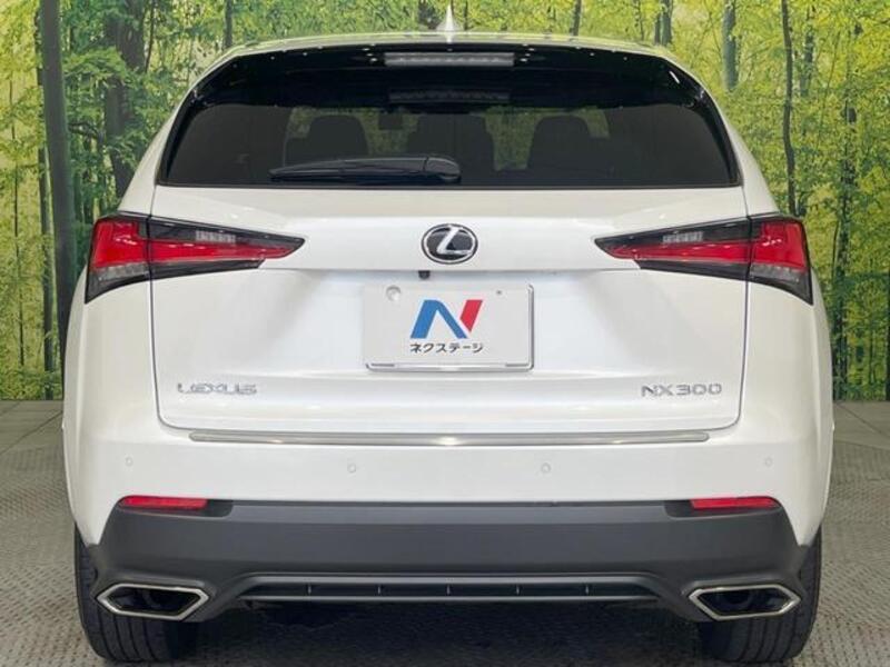 NX