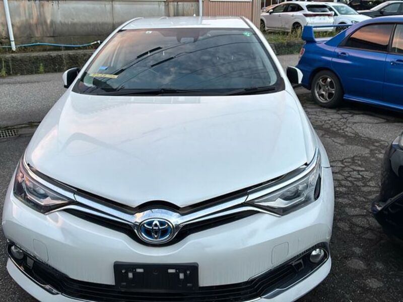 AURIS HYBRID-0