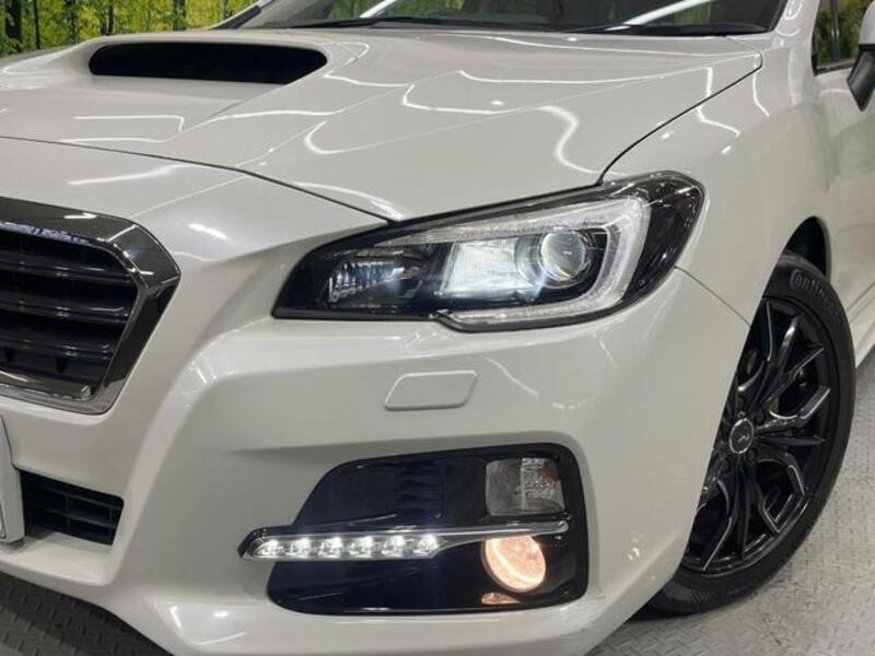 LEVORG
