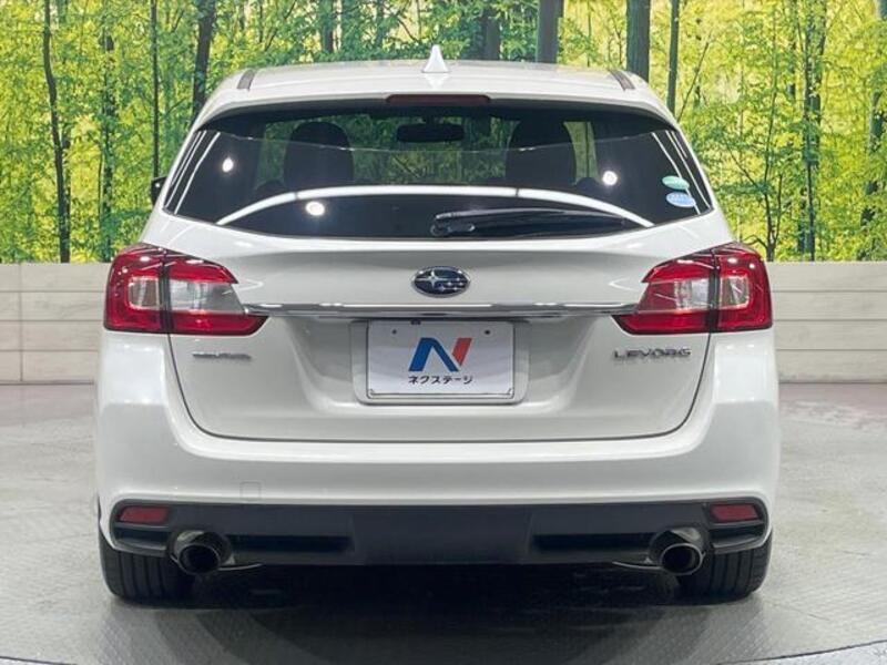 LEVORG