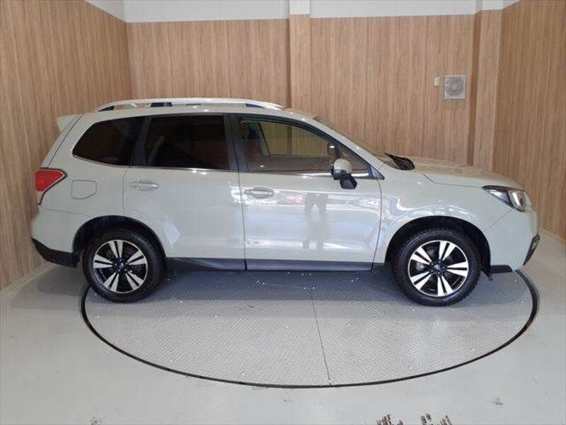 FORESTER