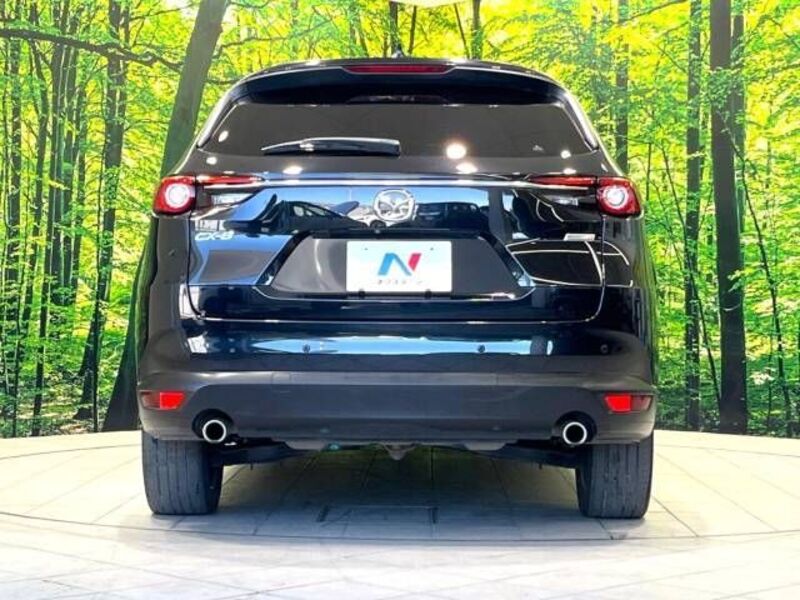 CX-8