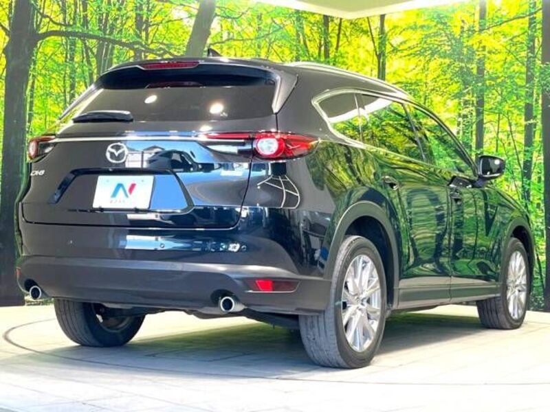 CX-8