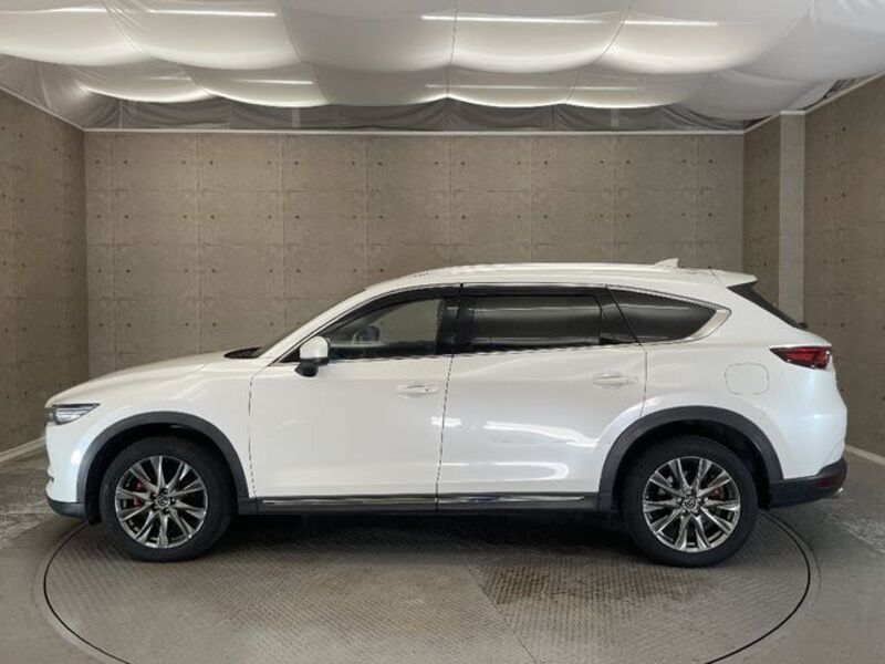 CX-8