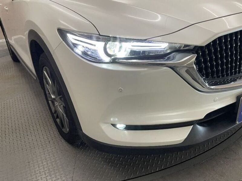 CX-8