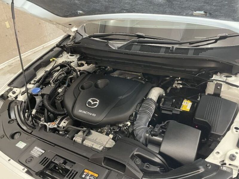 CX-8