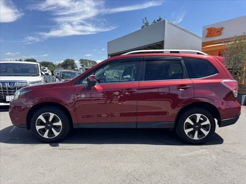 FORESTER