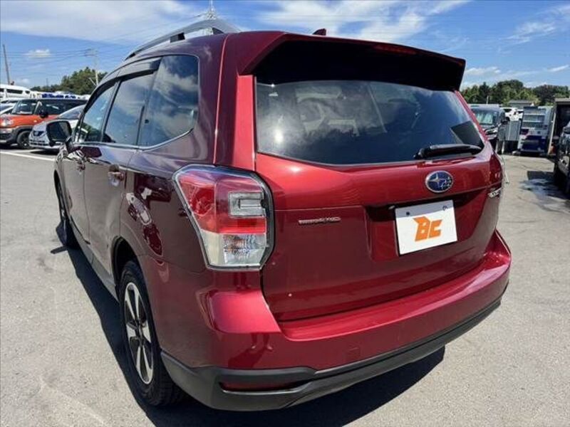 FORESTER