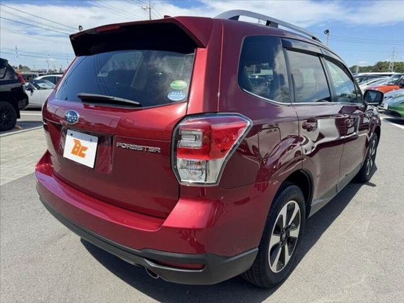 FORESTER