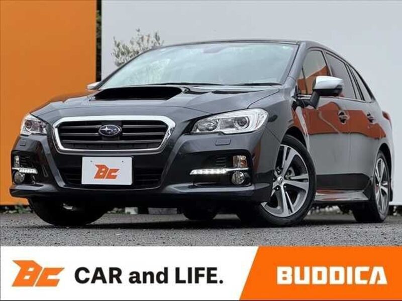 LEVORG-0