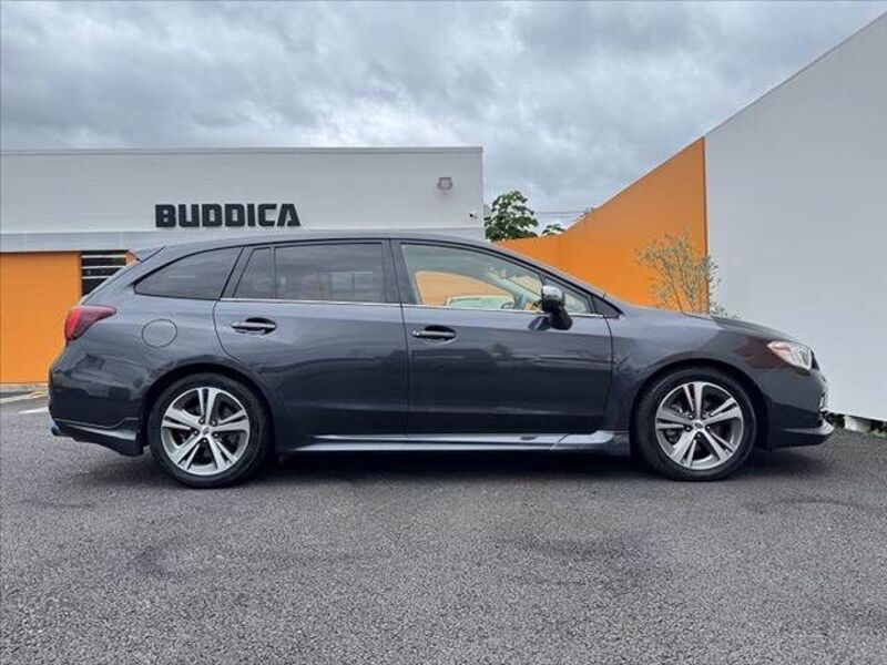LEVORG