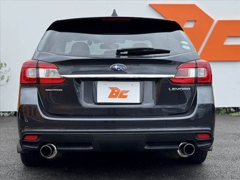 LEVORG
