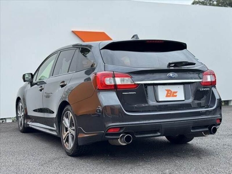 LEVORG