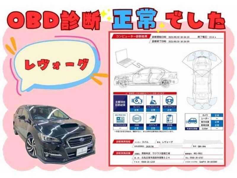 LEVORG