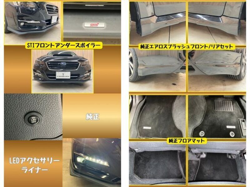 LEVORG