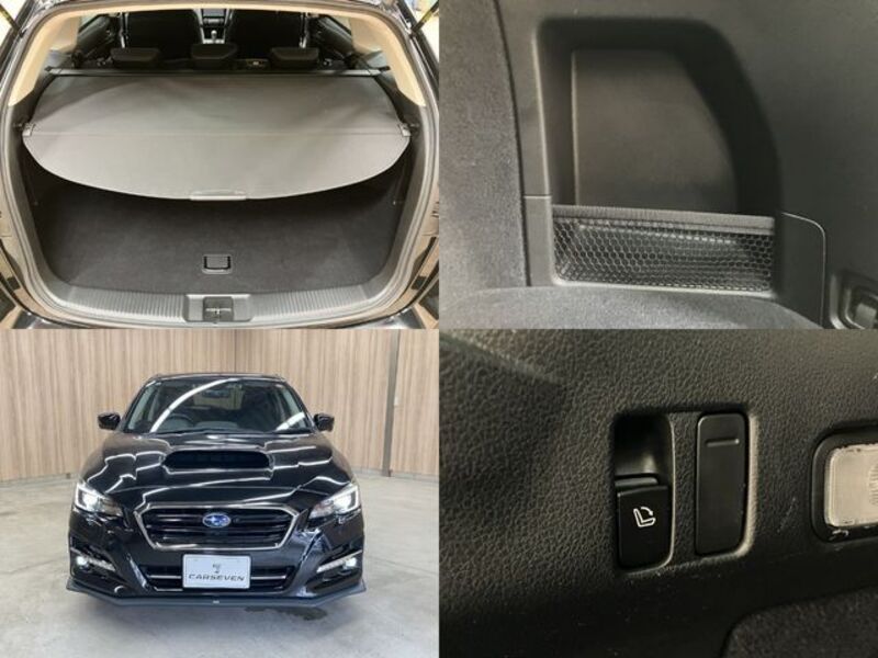 LEVORG