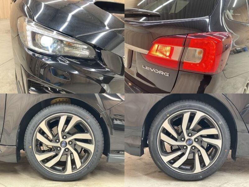 LEVORG
